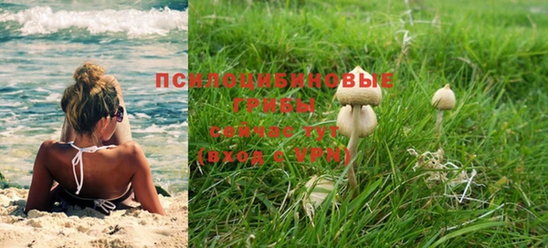 ALPHA-PVP Белокуриха