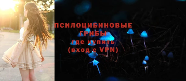 2c-b Беломорск