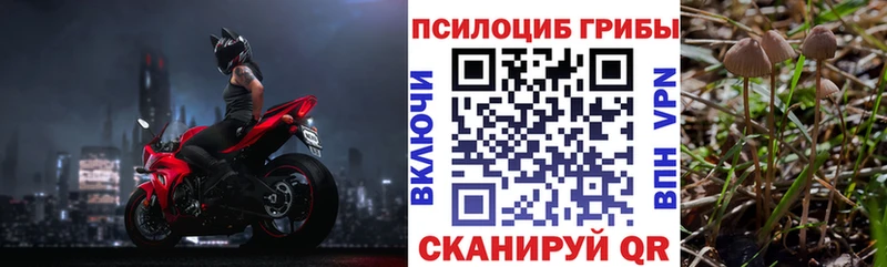 Псилоцибиновые грибы мицелий  Сосенский 